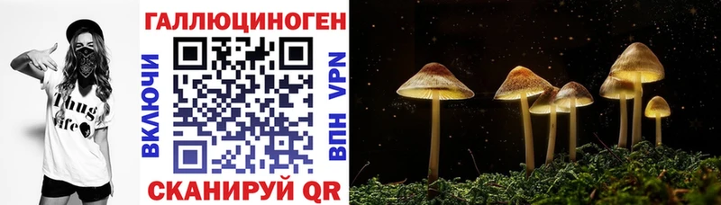 закладки  Вятские Поляны  Галлюциногенные грибы MAGIC MUSHROOMS 