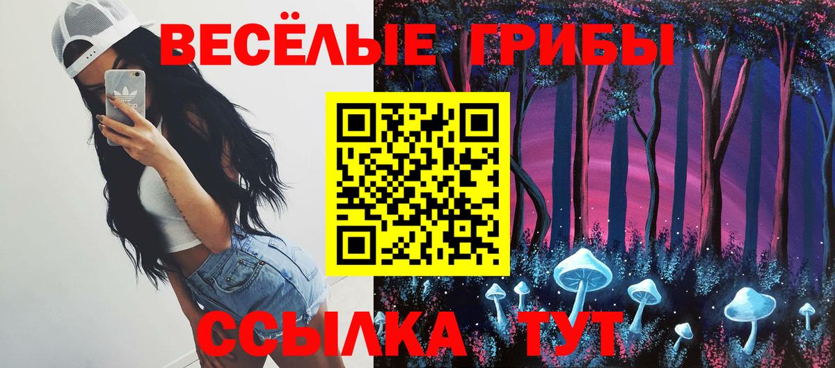 Псилоцибиновые грибы прущие грибы Вятские Поляны