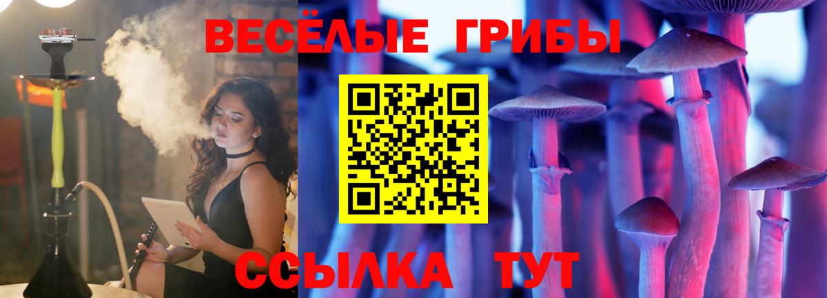 Галлюциногенные грибы MAGIC MUSHROOMS  Вход с VPN  Вятские Поляны  Псилоцибиновые грибы мухоморы 